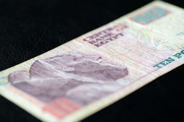 Ten Egyptian pounds on a dark background closeup