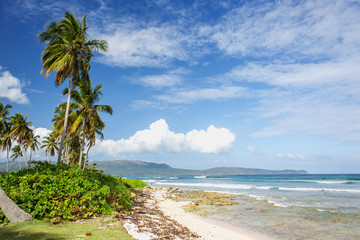 excellent tropical caribbean beach. Palms, sea, sky with white clouds