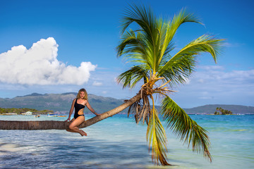 young sexy girl sitting on palm tree over blue sea