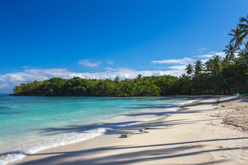 stunning tropical beach Playita, Domonican Republic. Blue ocean, white sand, palm trees