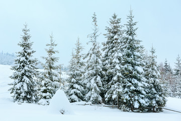 Winter Carpathian Mountains landscape.