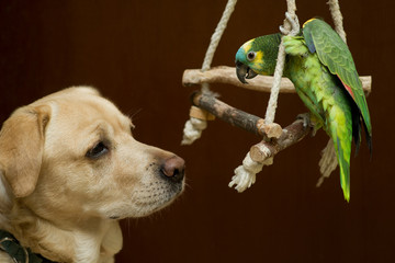 Develop a friendship