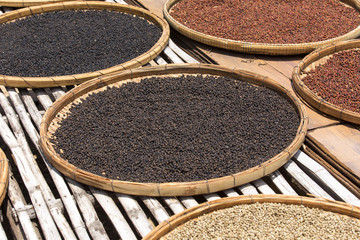 Cambodian pepper laid out to dry