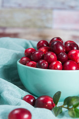 Fresh cranberries in a blue bowl. Ripe berries of Vaccinium macrocarpon, also large cranberry, American cranberry or bearberry.
