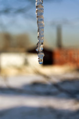 Spring melting icicle with falling water drop on a background of blue sky, white snow and red brick building with a chimney.