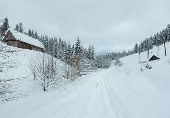 Winter Ukrainian Carpathian Mountains landscape.