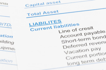 Liabilities in financial report book, document is mock-up
