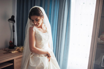 Fototapeta premium portrait of the happy bride in a dress.