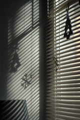 shade from the sun through the blinds