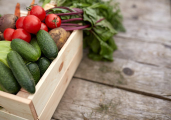 close up of vegetables on farm