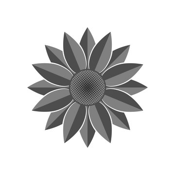 Flower icon. Grey Sunflower