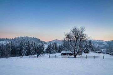 The mountains in winter. Sunrise in the mountains