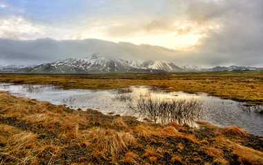 Fototapeta na wymiar Sea coast with mountain, East Coast, Iceland