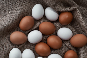 chicken eggs in a bag on a farm.