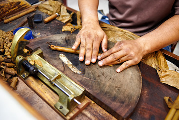 Closeup of hands making cigar from tobacco leaves. Traditional manufacture of cigars. Dominican Republic