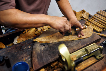 Closeup of hands making cigar from tobacco leaves. Traditional manufacture of cigars. Dominican Republic