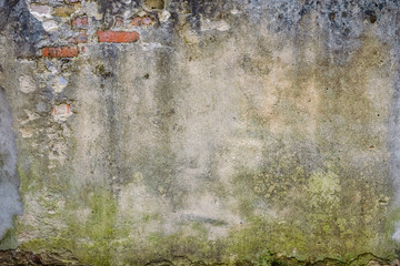 Obraz premium grunge textured background. brick wall of the old house. remains of old plaster