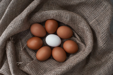 Fresh eggs from the farm to the kitchen.