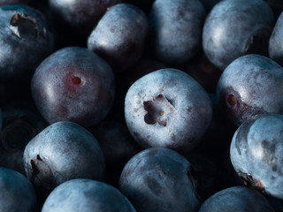 Close up of Blueberries