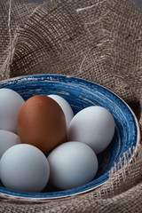 Fresh eggs are collected for cooking