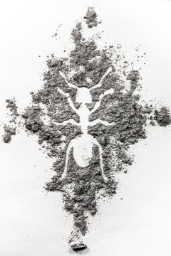 The ant, termite drawing silhouette made in dust, dirt, ash as pest control, exterminator, insect, insecticide, colony problem concept background