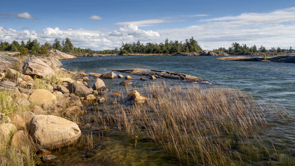 Wild shoreline French River