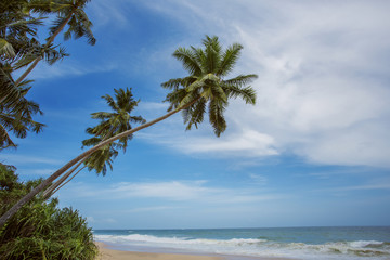Fototapeta na wymiar Untouched tropical beach