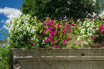 Beautiful blooming flowers as a decoration in small Italian town