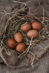 Ecological natural fresh eggs in bird nest born