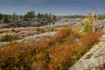 Fall Colour French River