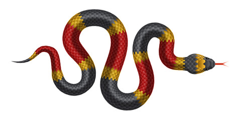 Fototapeta premium Vector tropical snake isolated on white background.