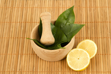 Alternative Medicine