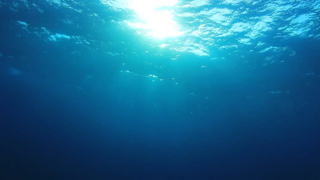 Underwater ocean background footage