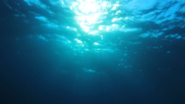 Underwater ocean background footage