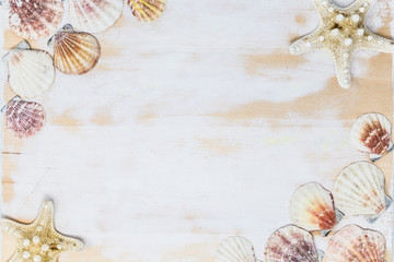 seashells and starfish border on white wooden board.