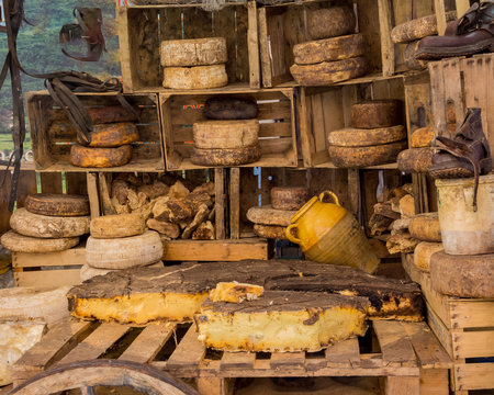 Formaggi rustici