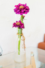 Purple flower