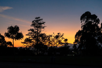 siluetas en el atardecer
