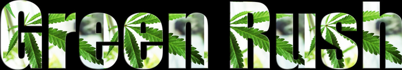 Marijuana Logo High Quality 