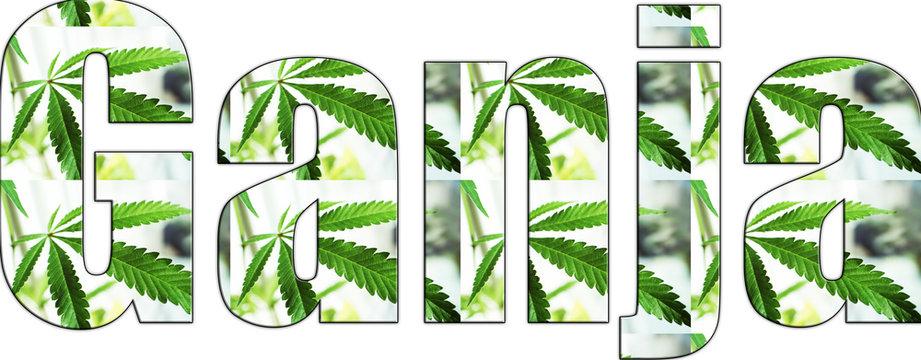 Marijuana Logo High Quality 