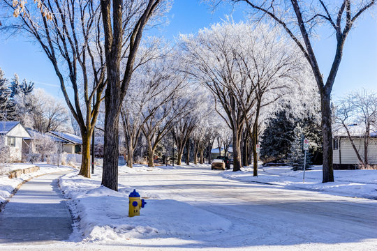 City Of Edmonton Street In Winter, Alberta, Canada