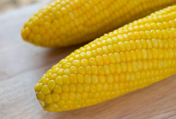 yellow sweet corn on wooden background