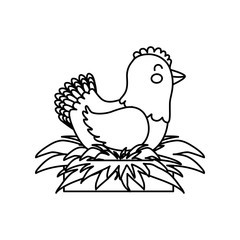 chicken farm animal icon vector illustration graphic design