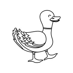 duck farm animal icon vector illustration graphic design