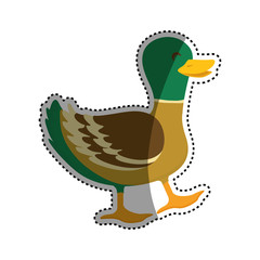 duck farm animal icon vector illustration graphic design