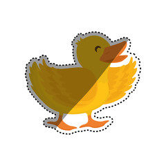 duck farm animal icon vector illustration graphic design