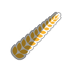 Wheat natural food icon vector illustration graphic design