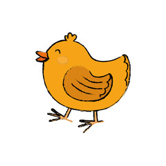 chicken farm animal icon vector illustration graphic design