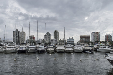 Botes de Punta del Este