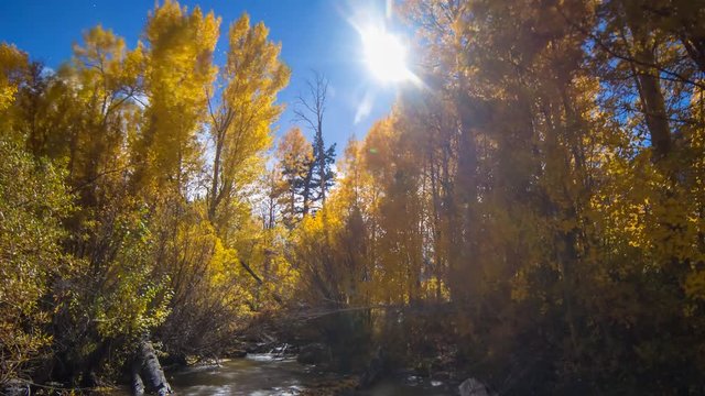 Astro Timelapse of Fall Foliage River at moonset in Eastern Sierra -Long Crop-